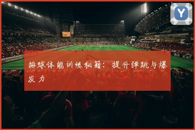 排球体能训练秘籍：提升弹跳与爆发力